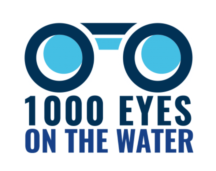 1000 ojos en el icono de agua