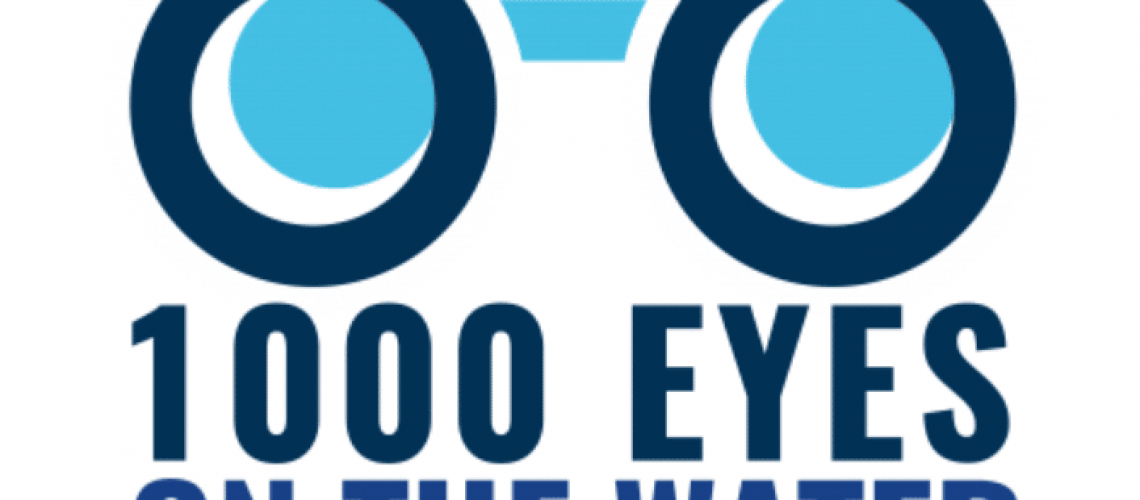 1000 Eyes in the Water Icon
